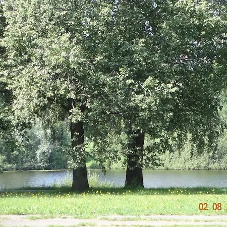 Apartment For Rent *